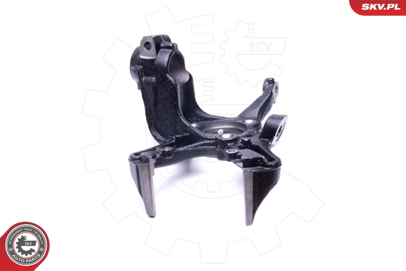 Steering Knuckle, wheel suspension